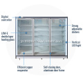 二重ガラスドアスーパーマーケット表示垂直冷凍庫